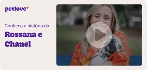 Conheça a história de Rossana e Chanel
